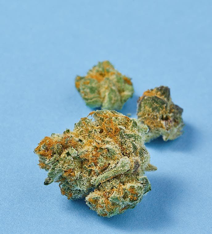 Cannabis flower bud